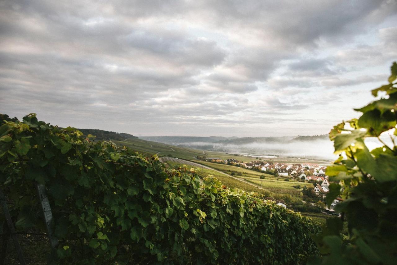Weingut Pastoriushaus - Artur Steinmann Hotel ซอมเมอร์เฮาเซน ภายนอก รูปภาพ