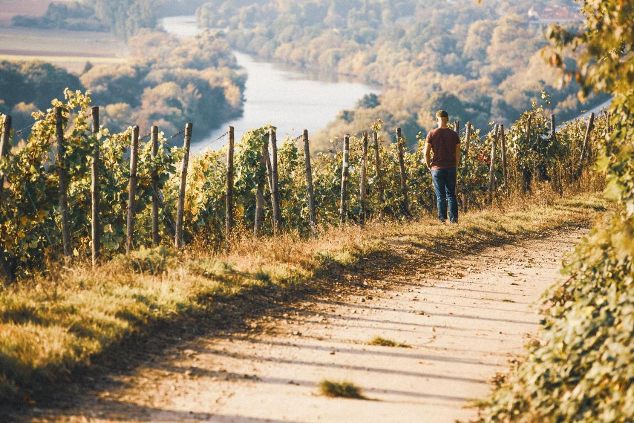 Weingut Pastoriushaus - Artur Steinmann Hotel ซอมเมอร์เฮาเซน ภายนอก รูปภาพ